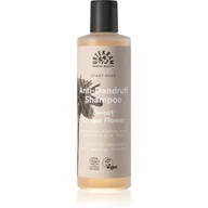 Szampony do włosów - Urtekram - Szampon, Delikatny imbir przeciwłupieżowy, BIO, 250 ml - miniaturka - grafika 1