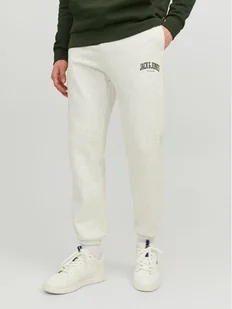 Spodnie dresowe Jack&Jones - Spodnie sportowe męskie - miniaturka - grafika 1