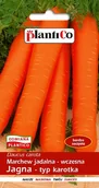 Nasiona i cebule - NASIONA Marchew Jadalna Jagna 5g PLANTICO 403376 - miniaturka - grafika 1