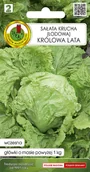 Nasiona i cebule - Sałata lodowa krucha Królowa Lata nasiona Pnos - miniaturka - grafika 1