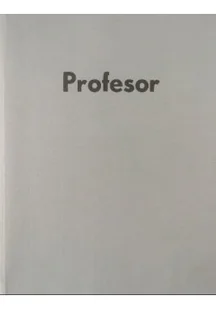 Profesor Stefan Sawicki Portret przyjaźnią pisany - Biografie i autobiografie - miniaturka - grafika 1