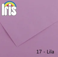 Szkolne artykuły papiernicze - Tektury Iris 29,7 x 42 cm Liliowy 185 g (50 Sztuk) - miniaturka - grafika 1