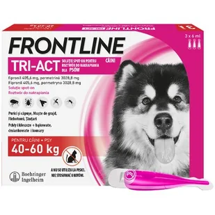 Merial Frontline Tri-Act XL dla psów o wadze 40-60 kg 3 pipety (3x6ml) - Artykuły przeciw pasożytom - miniaturka - grafika 1