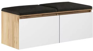 Agat  Sławomir Grzybek, Szafka na Buty z Siedziskiem, 49x100x37cm - Szafki na buty - miniaturka - grafika 1