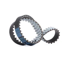 DAYCO Pasek rozrządu 941042 - Mechanizmy rozrządu - miniaturka - grafika 1