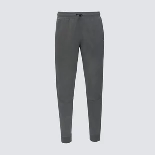 PUMA SPODNIE RAD CAL SWEATPANTS DK CL - Spodnie męskie - miniaturka - grafika 1