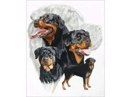 Zabawki kreatywne - Haft Diamentowy, Obraz, Mozaika Diamentowa Diamond Painting, Pies - Rottweiler 30X40Cm - miniaturka - grafika 1