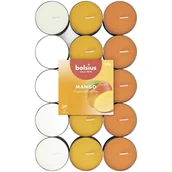 Świece - Podgrzewacze zapachowe BOLSIUS 30szt~3,5h|Mango - miniaturka - grafika 1