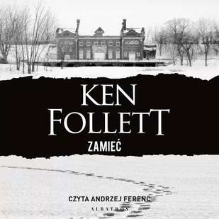 Zamieć - Audiobooki - kryminał, sensacja, thriller - miniaturka - grafika 1