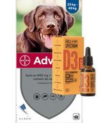 Artykuły przeciw pasożytom - Bayer Advantix dla psów 25-40kg 4 pipety x 4ml) + olej konopny witamina D3 Forte 30ml dla ludzi) 56105-uniw - miniaturka - grafika 1