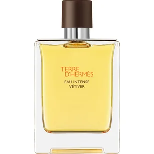 Hermes Terre d'Hermes Eau Intense Vetiver Woda perfumowana 100 ml - Wody i perfumy męskie - miniaturka - grafika 1