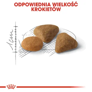 ROYAL CANIN  Exigent Savour 35/30 Sensation 4kg karma sucha dla kotów dorosłych, wybrednych, kierujących się teksturą krokieta + niespodzianka dla kota GRATIS! - Sucha karma dla kotów - miniaturka - grafika 12