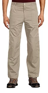 Spodnie męskie - Regatta Action Trousers męskie spodnie trekkingowe, zielony, TRJ330L 39G034 - grafika 1