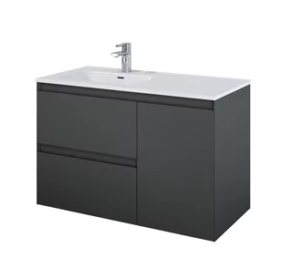 Elita 168154 SZAFKA podumywalkowa SPLIT 100 2S P CARGO ANTHRACITE MATT PDW - Szafki łazienkowe - miniaturka - grafika 1