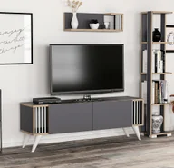 Szafki RTV - Szafka pod TV Albertslund z półką ścienną i 2 drzwiczkami Ława pod TV 42 x 120 x 31 cm Stolik pod TV z półką ścienną i 2 składanymi drzwiczkami Szafka pod TV Lowboard Szafka pod TV antracytowa / o wyglądzie drewna - miniaturka - grafika 1