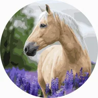Kolorowanki, wyklejanki - Malowanie po numerach owalne Koń w lawendzie - miniaturka - grafika 1