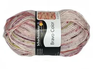 Pasmanteria - Wyprodukowano w Niemczech Włóczka Schachenmayr Bravo Color (02138) A58B-52541_20211127193659 - miniaturka - grafika 1