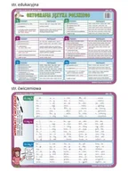Książki edukacyjne - Podkładka edukacyjna. ABC 02. Język polski. Ortografia języka polskiego - miniaturka - grafika 1