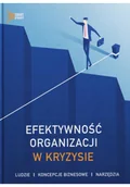 Biznes - Efektywność Organizacji W Kryzysie - miniaturka - grafika 1
