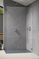 Kabiny prysznicowe - Radaway Essenza Pro Brushed Nickel 55x200 kabina Walk-in szczotkowany nikiel 10103055-91-01 - miniaturka - grafika 1