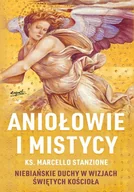 Literatura popularno naukowa dla młodzieży - Aniołowie i mistycy. Niebiańskie duchy w wizjach świętych Kościoła - miniaturka - grafika 1