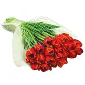 Kwiaty doniczkowe i cięte - Kwiaty Tęsknię - miniaturka - grafika 1