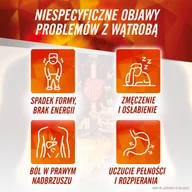 Układ pokarmowy - Essentiale MAX 600 mg, 30 kapsułek - miniaturka - grafika 1
