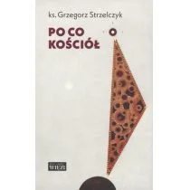 PO CO KOŚCIÓŁ Grzegorz Strzelczyk - Religia i religioznawstwo - miniaturka - grafika 2