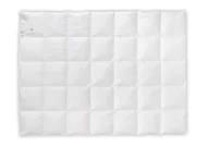 Kołdry - AMZ Szamotuły Kolekcja Royal - Kołdra Zimowa 220x200 puch 100% C8C7-66571 - miniaturka - grafika 1