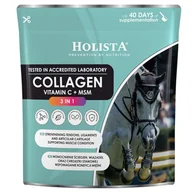 Pasze dla zwierząt - HolistaEquine Collagen 3 in 1 600g DLA KONIA - miniaturka - grafika 1