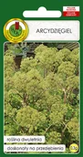 Nasiona i cebule - ARCYDZIĘGIEL ZIELE ANGIELSKIE NASIONA ZIÓŁ BEZ GMO - miniaturka - grafika 1