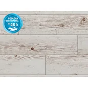 Panele podłogowe - Classen Panel podłogowy Świerk Chester 8 mm AC 4 - miniaturka - grafika 1