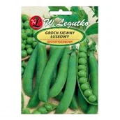 Nasiona i cebule - Legutko Groch łuskowy Sześciotygodniowy 40 g wczesny - miniaturka - grafika 1