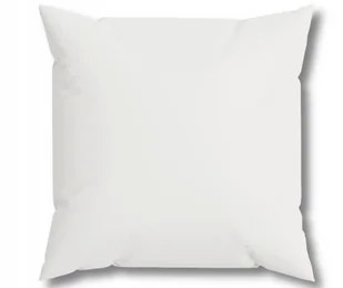 PODUSZKA 45x45cm JASIEK WKŁAD PODUSZEK WYPEŁNIENIE WKŁAD DO POSZEWEK - Poduszki - miniaturka - grafika 1