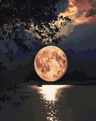 Malowanie po numerach - Zestaw Malowanie po numerach 40x50 cm Księżyc w Pełni - miniaturka - grafika 1