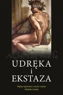 Irving Stone Udręka i ekstaza