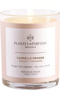 Świece - PLANTES&PARFUMS PROVENCE Świeca zapachowa perfumowana - Cinnamon & Orange - Pomarańcza z cynamonem 070212 - grafika 1