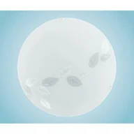 Lampy sufitowe - Eglo MARS - LAMPA ŚCIENNO-SUFITOWA - 80264 - miniaturka - grafika 1