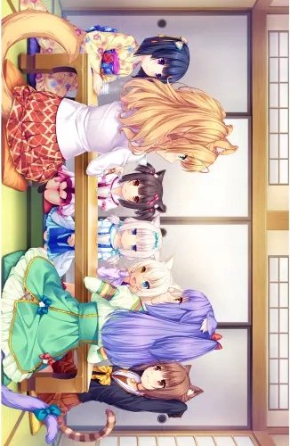 Plakat Anime Manga Nekopara np_091 A3 (custom)
