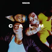 Winyle - CALM (5 Seconds of Summer) (Vinyl) - miniaturka - grafika 1