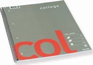 Zeszyty szkolne - Bantex Bantex Col, Image, Grey, Red, A4+, 70 sheets, Semi-glossy, Lined paper - miniaturka - grafika 1