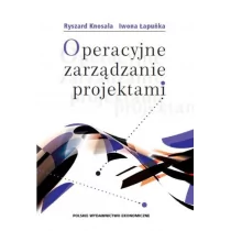 Operacyjne zarządzanie projektami - Ryszard Knosala, Iwona Łapuńka - Zarządzanie - miniaturka - grafika 1