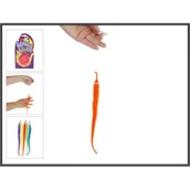 Zabawki i gry sportowe - Robak na drucie Hipo - miniaturka - grafika 1