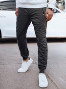 Spodnie męskie - Spodnie męskie dresowe ciemnoszare Dstreet UX4270 - miniaturka - grafika 1