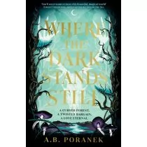 Where the Dark Stands Still - Obcojęzyczna literatura faktu i reportaż - miniaturka - grafika 1