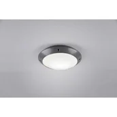 Lampy ogrodowe - Trio T R I O CAMARO plafon R60501042) R60501042 - miniaturka - grafika 1