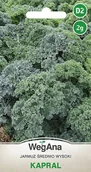 Nasiona i cebule - Jarmuż Kapral 2g nasiona - WegAna - miniaturka - grafika 1