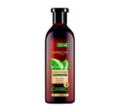 Szampony do włosów - Marion BOTANICAL Szampon do włosów Skrzyp P.400ml - miniaturka - grafika 1