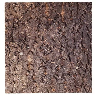 Repti-Zoo Big Tree Background - Tło Z Kory Do Terrarium 20X20Cm - Akcesoria do terrarium - miniaturka - grafika 1