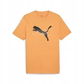 Koszulki męskie - PUMA KOSZULKA DESERT ROAD GRAPHIC 67970546 r L - miniaturka - grafika 1